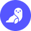 Kaigoo
